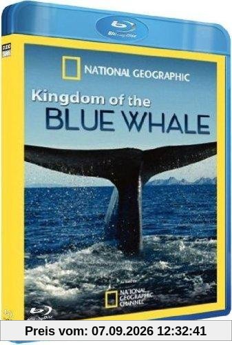 Le royaume de la baleine bleue [Blu-ray] [FR Import]