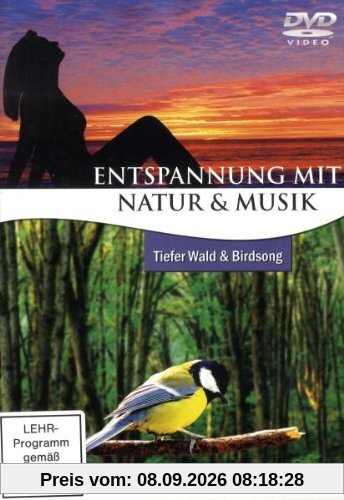 Entspannung mit Natur & Musik: Tiefer Wald & Birdsong