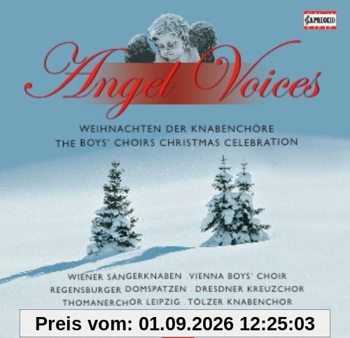 Angel Voices