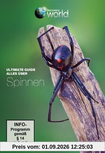 Ultimate Guide - Alles über Spinnen