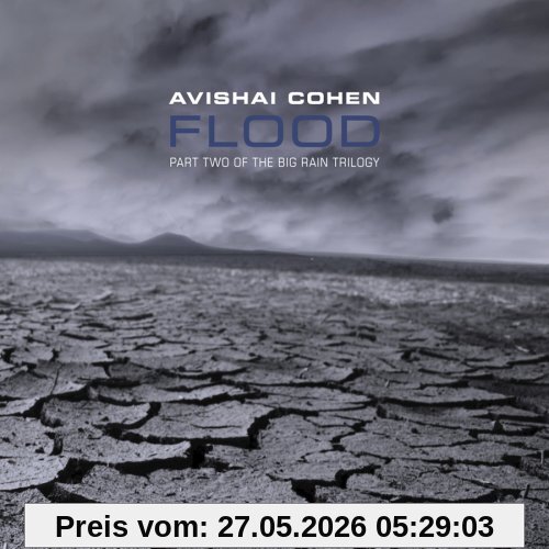 Avishai Cohen Flood