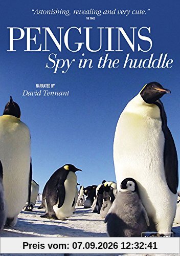 Penguins - Spy in the Huddle [DVD] [UK Import]