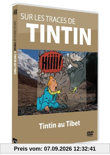 Sur les traces de tintin ; tintin au tiibet [FR Import]