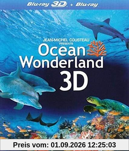 Ocean wonderland (3D)