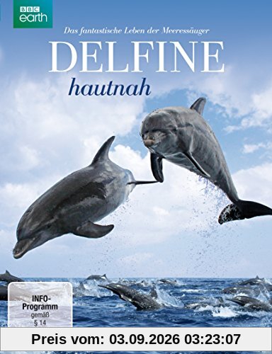 Delfine hautnah