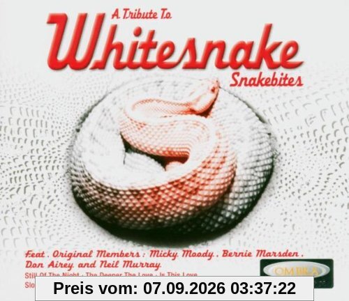 A Tribute to Whitesnake