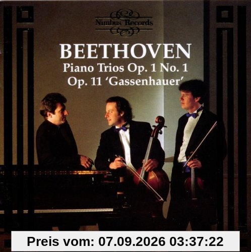 Beethoven Klaviertrio Vienna Piano