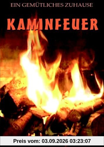 Kaminfeuer Impressionen