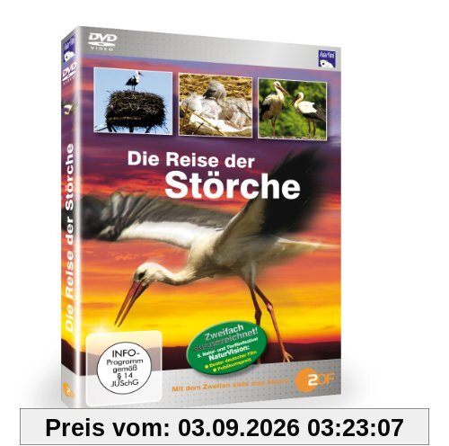 Die Reise der Störche