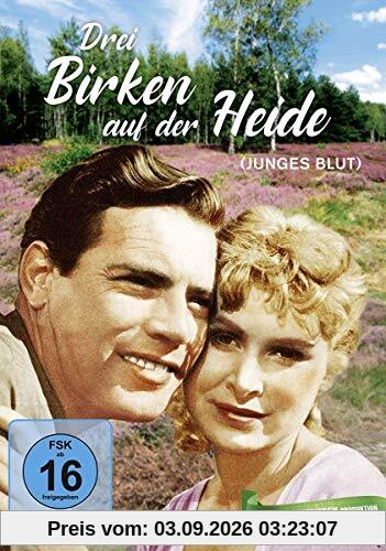 Drei Birken auf der Heide