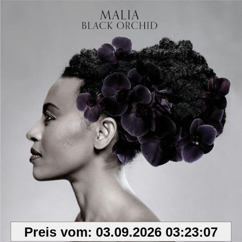 Black Orchid