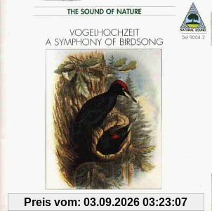 Vogelhochzeit