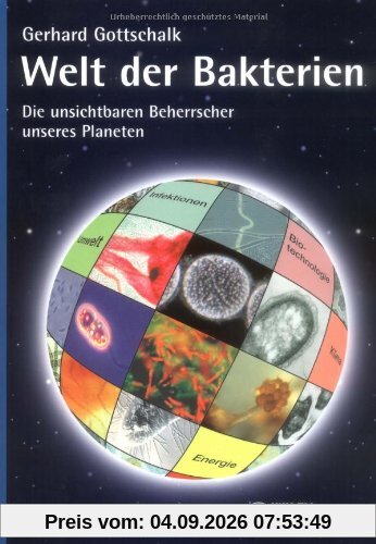 Welt der Bakterien: Die unsichtbaren Beherrscher unseres Planeten