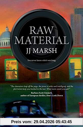 Raw Material (The Beatrice Stubbs Series, Band 2)