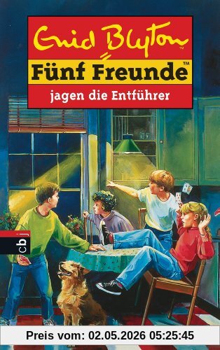 Fünf Freunde, Neubearb., Bd.13, Fünf Freunde jagen die Entführer