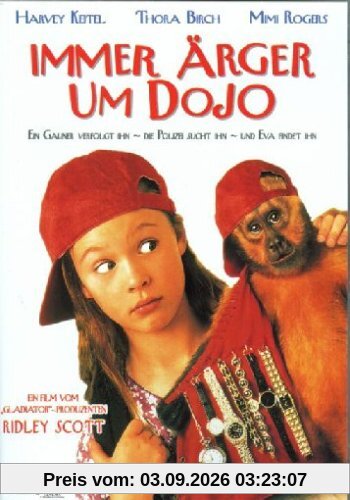 Immer Ärger um Dojo