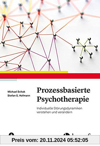 Prozessbasierte Psychotherapie: Individuelle Störungsdynamiken verstehen und verändern