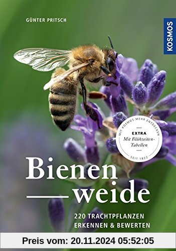 Bienenweide: 220 Trachtpflanzen erkennen und bewerten