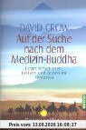 Auf der Suche nach dem Medizin-Buddha: Unter Schamanen, Heilern und Ärzten im Himalaya