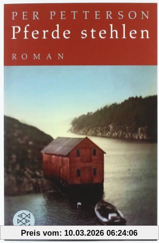 Per Petterson Pferde Stehlen. Roman