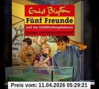Fünf Freunde und das Schildkrötengeheimnis: Band 55