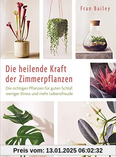 Die heilende Kraft der Zimmerpflanzen: Die richtigen Pflanzen für guten Schlaf, weniger Stress und mehr Lebensfreude - f