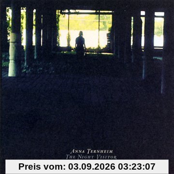 The Night Visitor