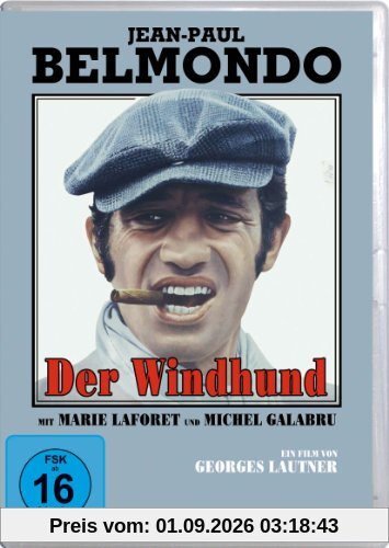 Der Windhund
