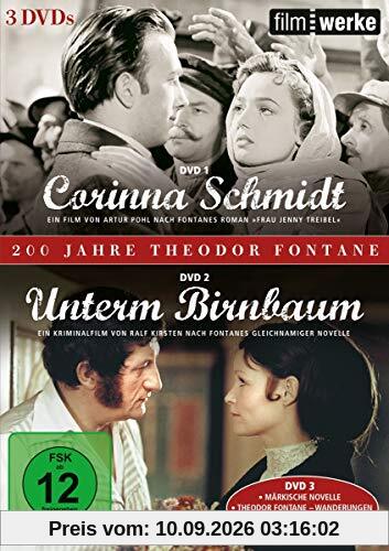 200 Jahre Theodor Fontane (Filmwerke): Corinna Schmidt / Unterm Birnbaum [3 DVDs]