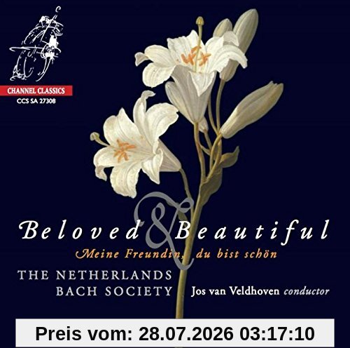 Zomer Beloved & Beautiful