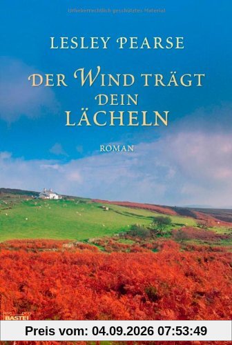 Der Wind trägt dein Lächeln: Roman