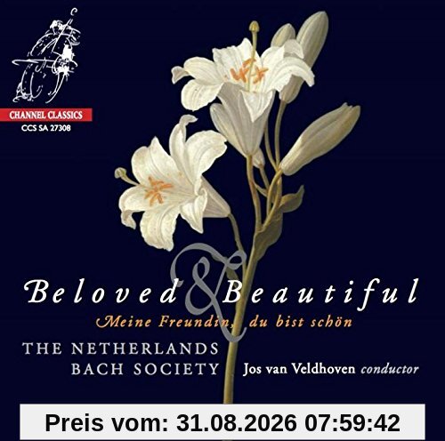 Beloved & Beautiful