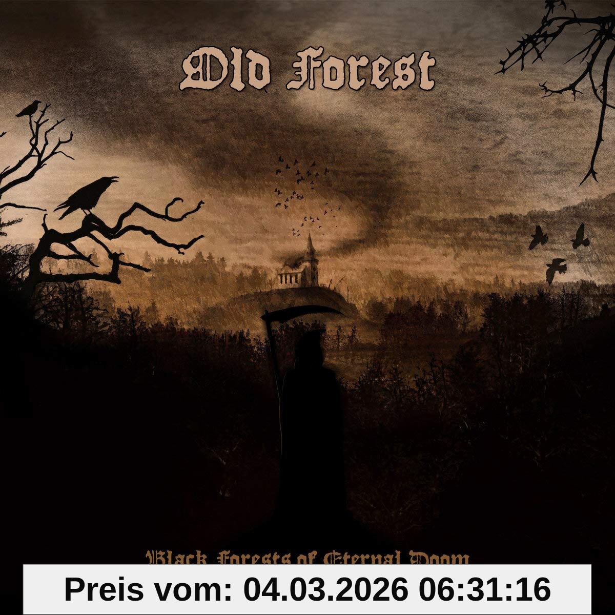 Old Forest - Black Forests Of..