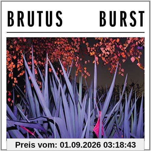 Burst [Vinyl LP]
