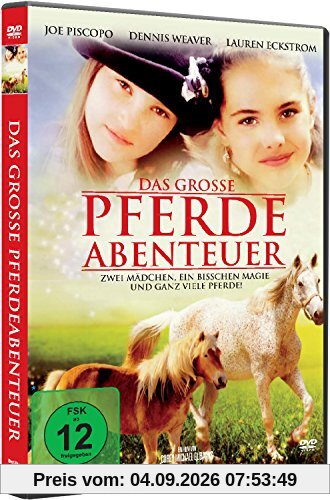 Das große Pferdeabenteuer