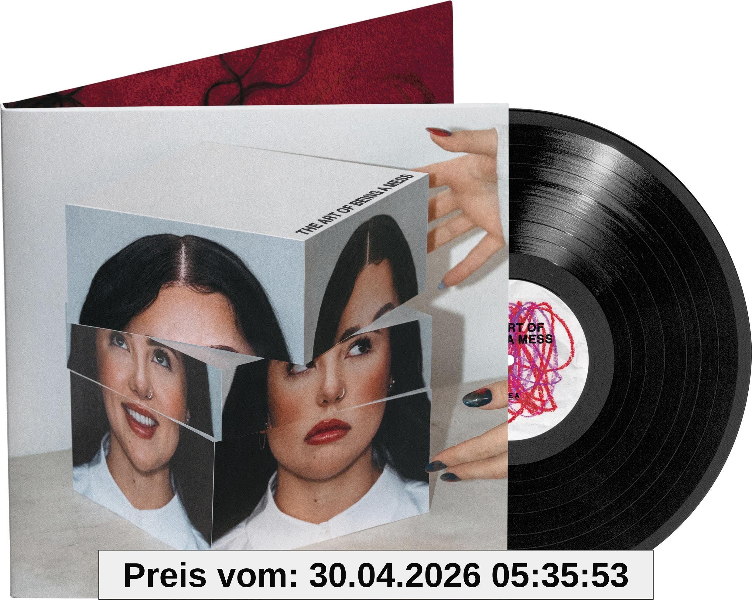 The Art of Being a Mess (LP) [Vinyl LP]
