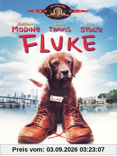 Fluke [IT Import]