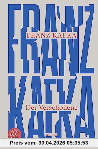 Der Verschollene: Roman