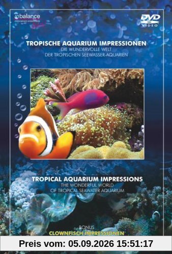 Tropische Aquarium Impressionen