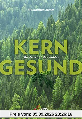 Kerngesund mit der Kraft des Waldes