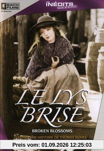 Le lys brisé [FR Import]