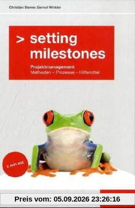 Setting Milestones: Projektmanagement Methoden - Prozesse - Hilfsmittel