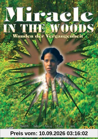 Miracle in the Woods - Wunden der Vergangenheit