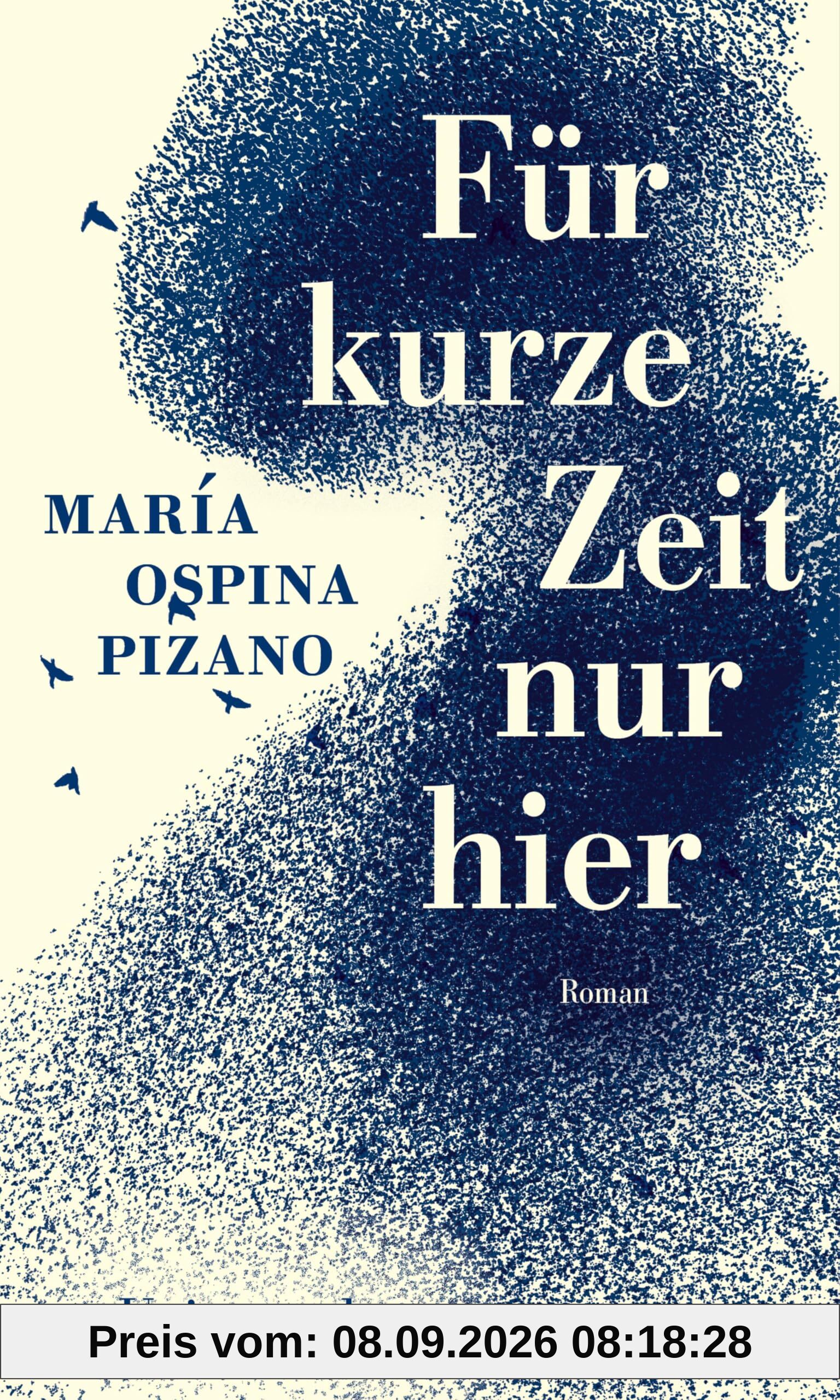 Für kurze Zeit nur hier: Roman