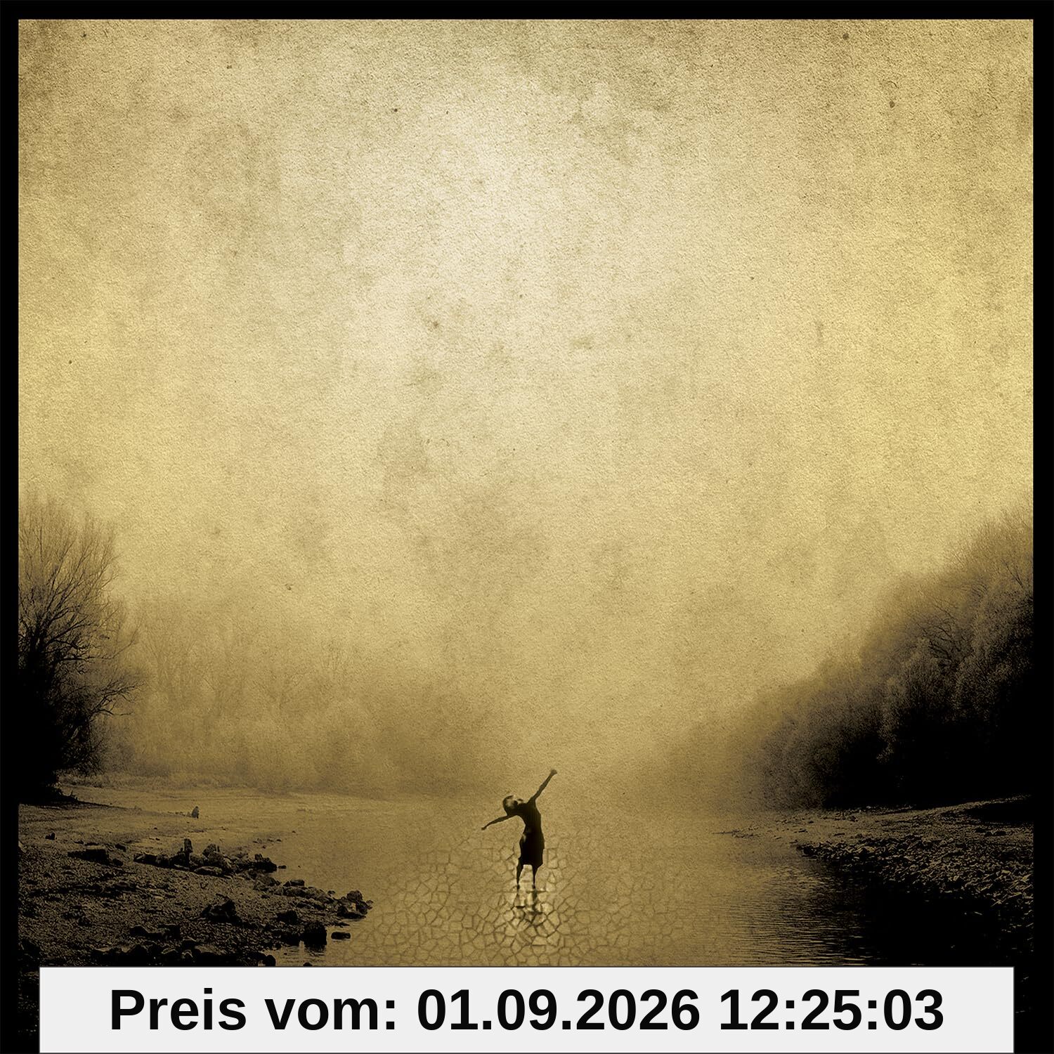 Attendre Que Le Soleil Revienne