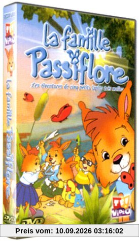 La Famille Passiflore : Le Déménagement / Vive la glisse / Carnaval / En ballon [FR Import]