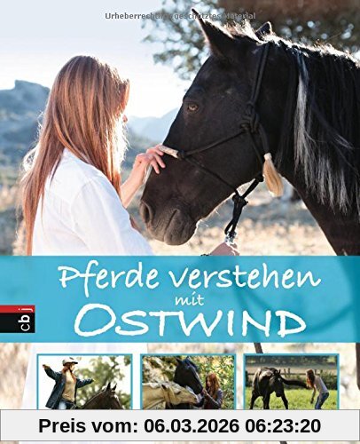 Almut Schmidt Pferde Verstehen Mit Ostwind