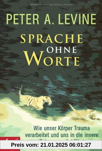 Sprache ohne Worte: Wie unser Körper Trauma verarbeitet und uns in die innere Balance zurückführt