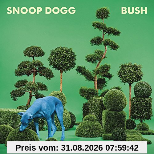 Bush