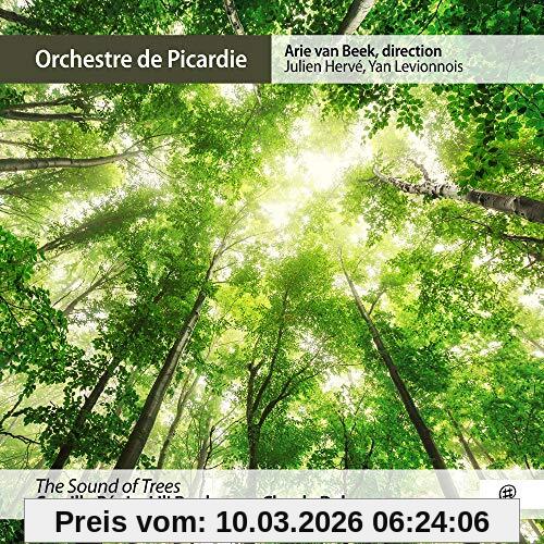Julien Herve The Sound Of Trees